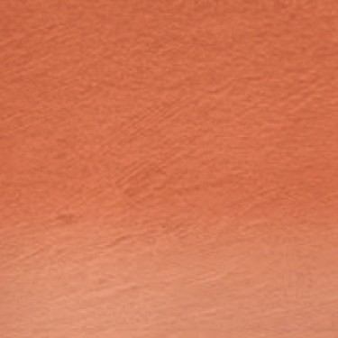PROCOLOUR BURNT YEL OCHRE 